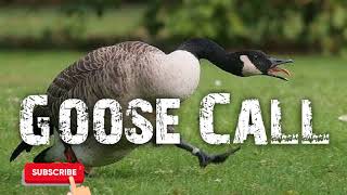 Canadian Goose Hunting Call - Free Download