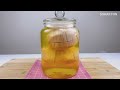 santol fruit pickle របៀបធ្វើផ្លែបំពេញរាជ្យត្រាំ កំពីងរាជត្រាំ