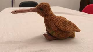 TY Beanie Babies Beak the Kiwi Bird Toy Review!