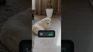 Hidden Features In Whoop