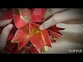 樱花🌸绣球灯笼 红包灯笼 春节灯笼 新年装饰 chinese lantern origami