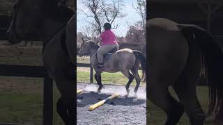 Cheery Acres Online Horse Show October 2023 Classes 43,74