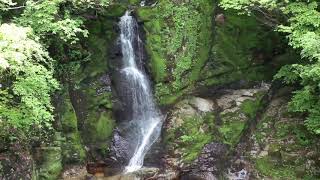 飛騨高山丹生川町、上宝町の美しい滝の風景