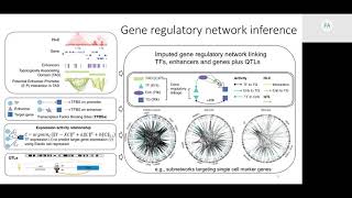 Interpretable Deep-learning for Multilevel Models of... - Jonathan Warrell - RECOMB/RSG 2018