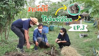 เกษตรออนไลน์ By พิพิธภัณฑ์เกษตรฯ l EP. สารพัดวิธี ใช้จุลินทรีย์ก้อน ตอน 3