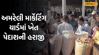 Amreli News | અમરેલી માર્કેટિંગ યાર્ડમાં ખેત પેદાશની હરાજી |Local18