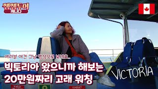 캐나다 빅토리아 고래 보러 갑시다 20만원 짜리 고래 투어  Victoria Whale Watching 캐나다 추억팔이 여행 vlog [ep. 5]