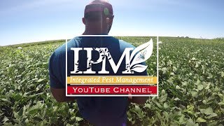 IPM Iowa State University YouTube Channel Trailer