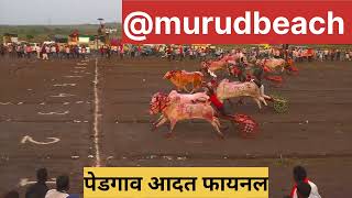 हिंदकेसरी पेडगाव आदत फायनल फेरा पेडगाव मैदान 2024// #बकासुर #एक्का#murudbeach