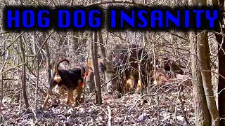 Hog Dog INSANITY! (Viewer discretion is advised)