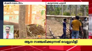 മിഷന്‍ ബേലൂര്‍ മഖ്‌ന നാലാം ദിനത്തിലേക്ക്; മയക്കുവെടി വെക്കാനുള്ള ദൗത്യം തുടരും