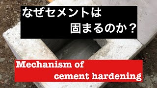 セメントってなんで固まるの？ Mechanism of cement hardening