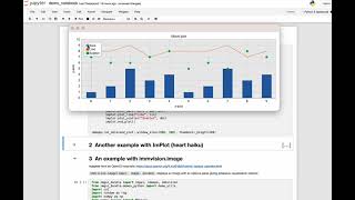 ImGui Bundle: usage with jupyter notebook