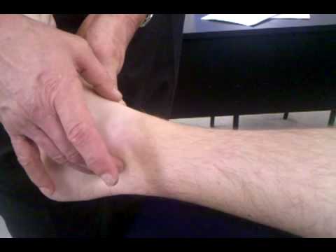 Dorsal Pedal Pulse and Posterior Tibial Artery - ST Dorsal Pedal Pulse and Posterior Tibial Artery - ST