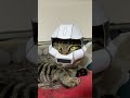 シンマツナガ専用猫ザク 猫のいる生活 猫の日常 なんじ君 cat gundam