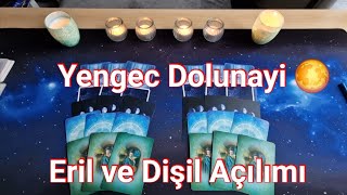 🔴ERIL VE DİŞİL🔴SENI ÜZENLERIN KENDI YUVALARI YIKILACAK/SEN GALIP GELECEKSIN#tarot#dolunay