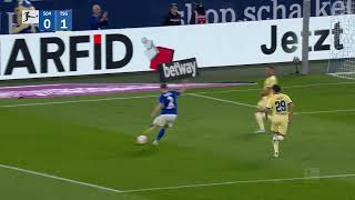 FC Schalke 04 0 - 3 TSG Hoffenheim (Bundesliga 2022 - 2023 Matchday 10 Highlights)