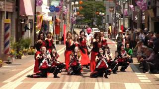 輝翔連（2012常陸国YOSAKOI祭り・流し踊り）