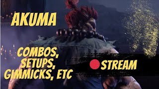 SF6 AKUMA MASTER 1 en España