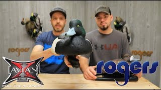 Avian-X Foam Filled Blue Bill Duck Decoys