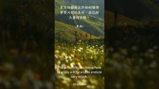 995#名言語錄#閱讀智慧#智慧名言#智慧語錄#正能量語錄#deep quotes# motivational quotes#inspirational #quotes for life #智慧名言