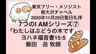 2020年11月29日聖日礼拝 「7つのI AM」シリーズ7「わたしはぶどうの木です」ヨハネの福音書15章5節