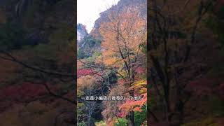 小栋游日本｜日本第一峡谷“升仙峡”｜紅葉名所“昇仙峡”