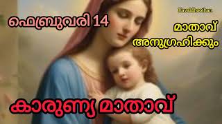 കാരുണ്യ മാതാവ് കരുണയോടെ നിങ്ങളുടെ കാര്യത്തിൽ ഇടപെടട്ടെ 🙏