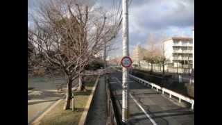 街角ウォッチング　萩原・鷹の巣・相生町　北九州市八幡西区