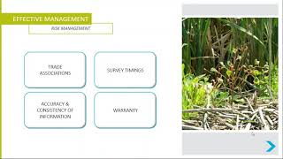 SCLF Webinar 22 - Invasive vegetation – A roadmap to successful management, 11 March 2021