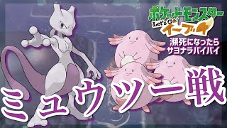 【ピカブイ特別編】ミュウツーVSママ艦隊【ポケットモンスター Let's Go! イーブイ実況】