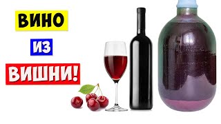 ВИНО из ВИШНИ / Вишневое Вино / ПРОСТОЙ РЕЦЕПТ! Cherry Wine