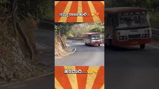 ksrtc king in dhimbam ghat 💥🤙 #karnataka #driving #ksrtc  copyright credit to respected owner