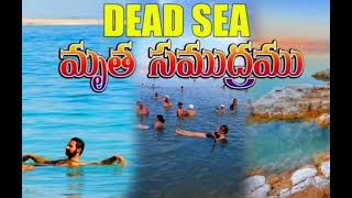 మృత సముద్రము + DEAD SEA