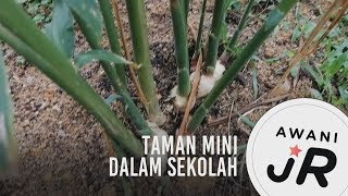 #AWANIJr: Taman mini dalam sekolah