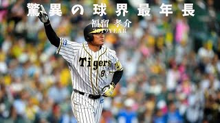 脅威の42歳　福留の安打集　阪神タイガース 福留 孝介