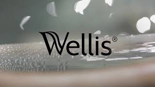 Allpools and Spas | Wellis Mercury hot tub