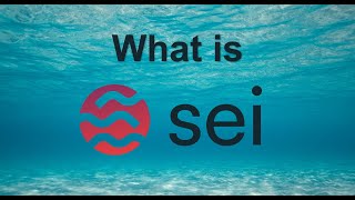 What is Sei?