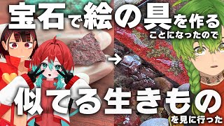 【コラボ】辰砂で絵の具を作ることになったので辰砂っぽい生きもの見に行った【半分Vlog動画】 #ごもも #ヘアピンまみれ #草野植木