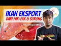 CARA BISNIS IKAN LAUT, PERHITUNGAN JENIS IKAN YANG LAYAK EKSPORT #ikaneksportblog