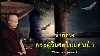 น่าพิศวง พระผู้วิเศษในแดนป่า