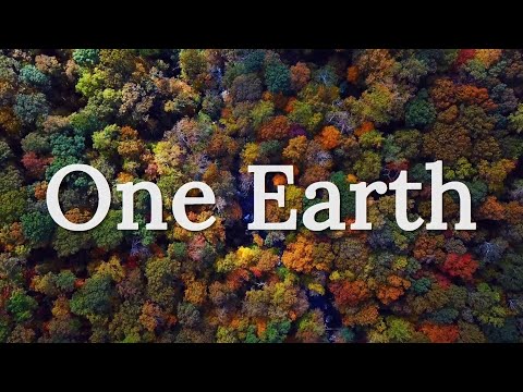 One Earth – Environmental Short Film