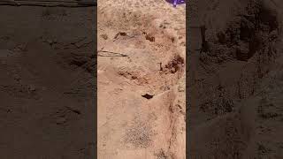 The Apache Treasure : 71 - More Investigation \u0026 Excavation ( Digging )... !! More than 2-3yrs+ ...