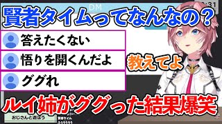 賢者タイムがわからなくて調べてみたら結果に爆笑する鷹嶺ルイ 【ホロライブ切り抜き/鷹嶺ルイ】