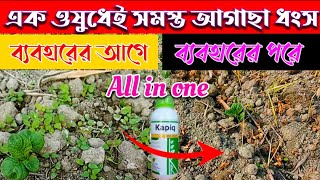 আলুতে একটি স্প্রেতে সব ধরনের আগাছা ধ্বংস//আলুর আগাছানাশক//আলুর ঘাস মারা ওষুধ//herbicide/#Paraquate