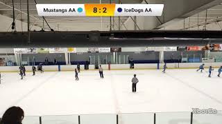 PW PSL Playoffs - Round 2 - IceDogs AA vs Peoria Mustangs AA