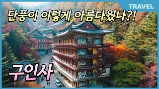 가을의 품에 폭 안겨있는 곳, 단풍 명소 단양 구인사 한국에서 가장 아름다운 단풍 스팟! #구인사, #구인사 단풍, #단양가볼만한곳