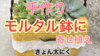 【多肉植物】モルタル鉢に寄せ植え