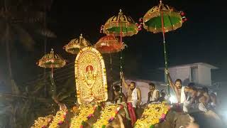 പരിയാനംപറ്റ പൂരം 19-2-2025# pariyanampatta pooram