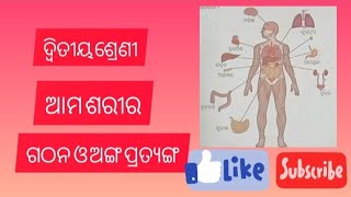 ଆମ ଶରୀର ଗଠନ ଓ ବିଭିନ୍ନ ଅଙ୍ଗ ପ୍ରତ୍ୟଙ୍ଗ ର କାର୍ଯ।#humanbodypartsname #amashariragathana#muodiatutor.